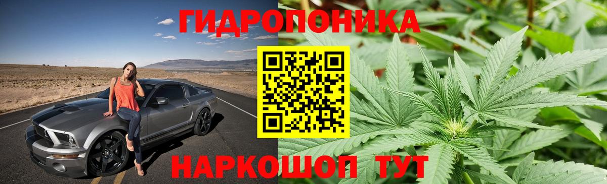 Каннабис SATIVA & INDICA  Шишки марихуана планчик  Сосновый Бор  Вход с VPN  МАРИХУАНА индика 